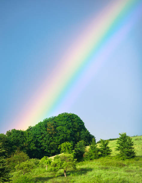 Rainbow over green hill meadow, summer landscape.