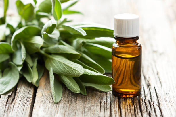 istock Spa resort composition with herbal aroma oil 1171583809