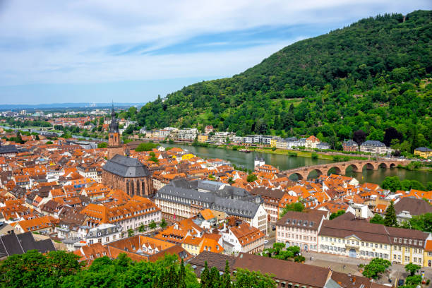 istock Panorama of Heidelberg in Germany 1171584154