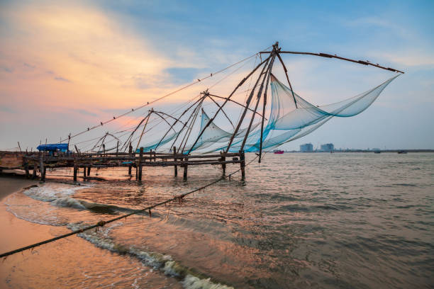 Chinese fishing nets in Cochin Chinese fishing nets or cheena vala are a type of stationary lift net, located in Fort Kochi in Cochin, India kochi india stock pictures, royalty-free photos & images