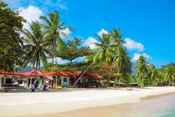 istock Clear water beach in Thailand 1171584561