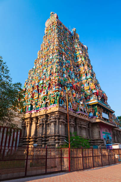 meenakshi amman temple in madurai - madurai kerala india tamil nadu imagens e fotografias de stock