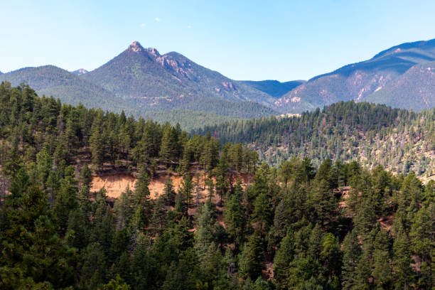 istock Gold Camp Road Scenery 1171589125
