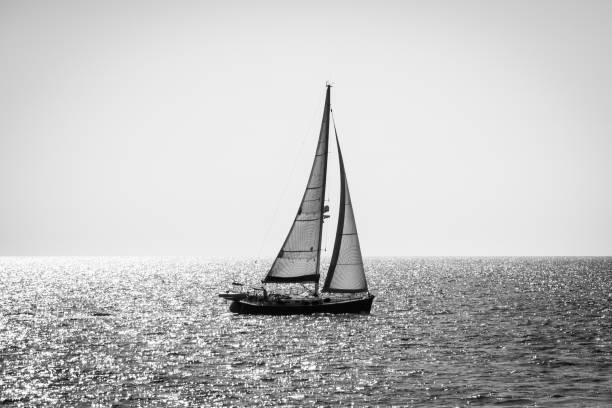 istock Alone yacht sailing, backlight, black and white 1171589219
