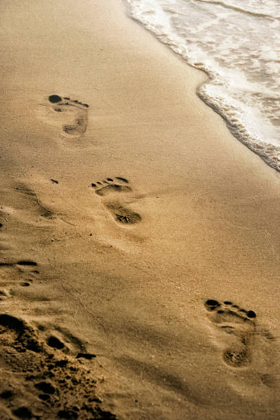 footprints on golden color sandy beach