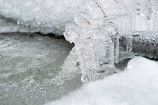 istock Frozen branch with icicles next to the water 1171593508