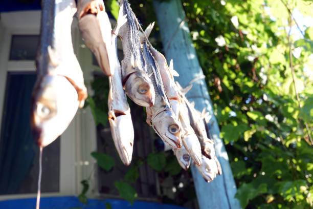 istock Dried and salted fishes. 1171594157