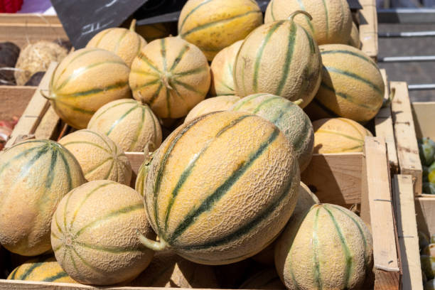 istock Melons at the market 1171598236