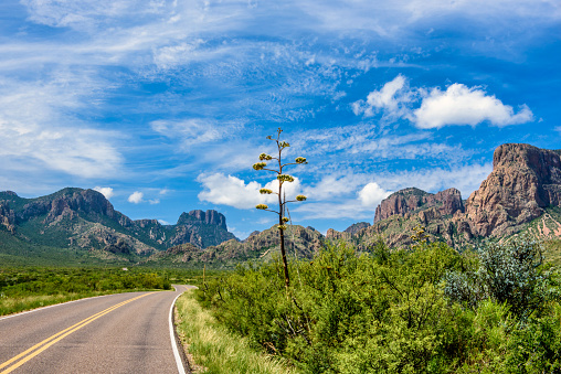 The road leading into the Chisos Mountains, Big Bend National Park, Texas