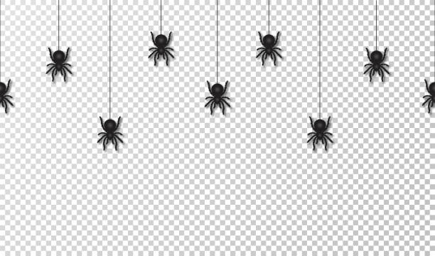 illustrazioni stock, clip art, cartoni animati e icone di tendenza di ragni appesi per la decorazione di halloween, motivo senza cuciture. ragni spaventosi appesi alla ragnatela, sfondo trasparente - ragno