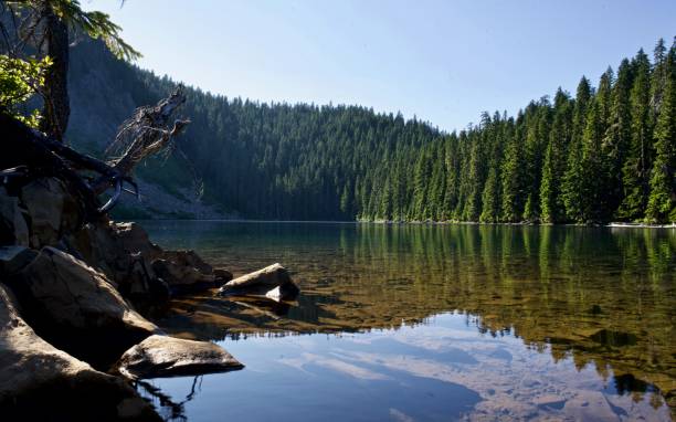 Blue Lake, Pacific Crest Trail, south of Trout Lake, Washington State, USA Blue Lake on Pacific Crest Trail south of Trout Lake on a calm sunny summer day, Washington state, USA, no people trout lake stock pictures, royalty-free photos & images