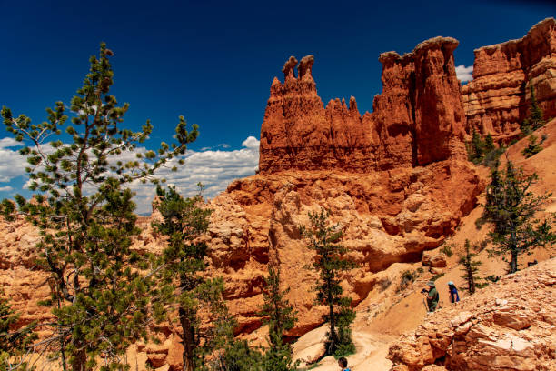 istock Hoodoos Along the Fairyland Loop Trail 1171610050
