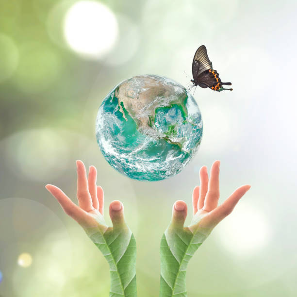 istock World environment day and ecological friendly concept with green planet on hands with tree leaves: Elements of this image furnished by NASA 1171611902