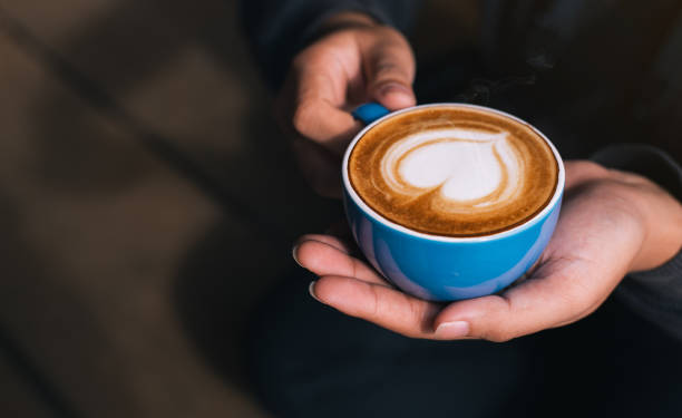 Female barista hands holding cup of fresh delicious cappuccino with latte art cream foam, brewed and made with love and take care concept, good service coffee shop stock photo