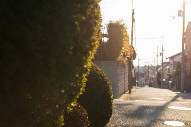 Early morning kurakuen cityscape in Nishinomiya, Hyogo