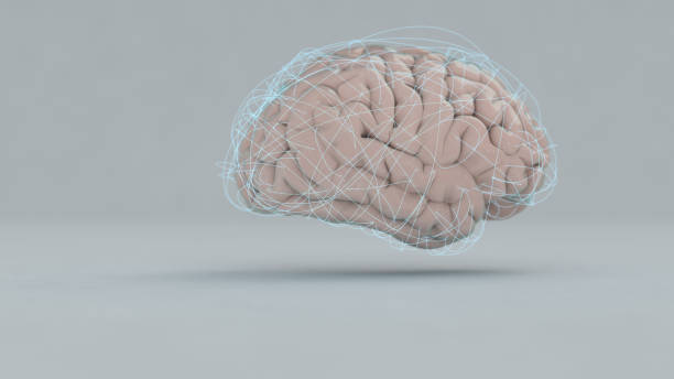 mózg - neurotransmission zdjęcia i obrazy z banku zdjęć