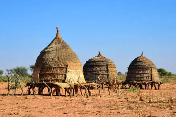 Baboussay, Tillabéri Region, Niger: thatched straw huts on stilts - African village scene
