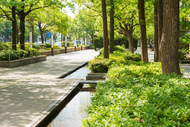 istock Park in Sannomiya 1171623052