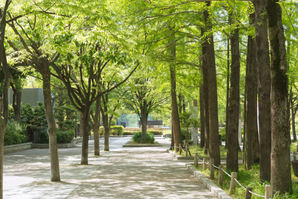 istock Park in Sannomiya 1171623062