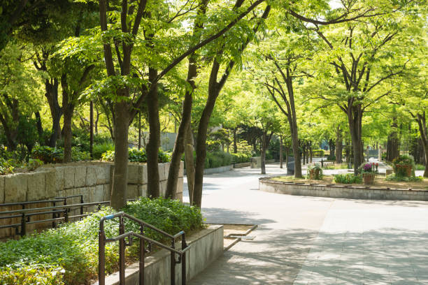 istock Park in Sannomiya 1171623093