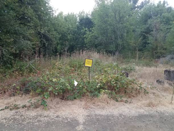 istock yellow unauthorized removal or dumping of material prohibited sign with plants 1171624950