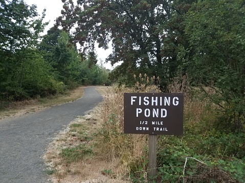 brown fishing pond one half mile down trail sign with path