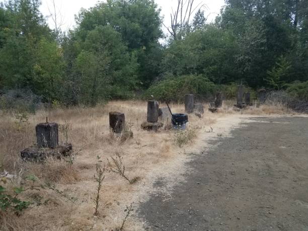 istock old cement columns, brown grasses, and road with garbage can 1171624990