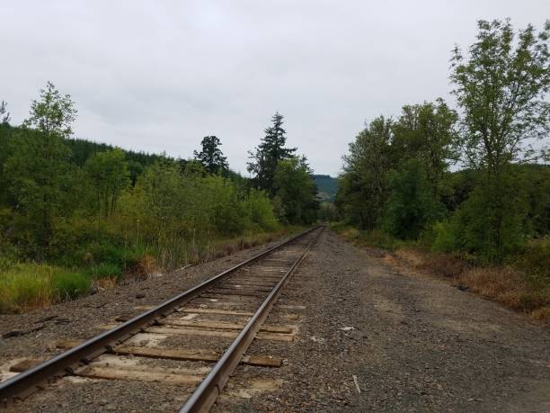 istock long railroad track and pebbles or stones and green trees 1171626189