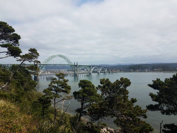istock bridge, water, and trees in Newport, Oregon 1171627120