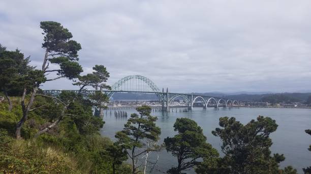 istock bridge, water, and trees in Newport, Oregon 1171627121