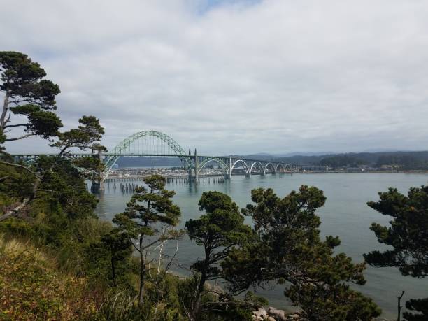 istock bridge, water, and trees in Newport, Oregon 1171627125