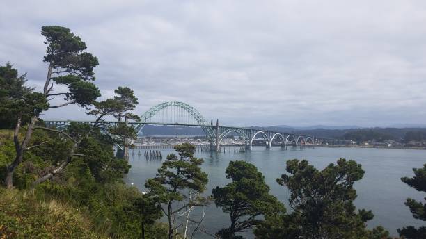 istock bridge, water, and trees in Newport, Oregon 1171627130