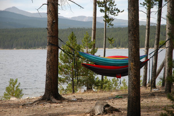 istock mountain scene with hammock in forest and lake 1171627244