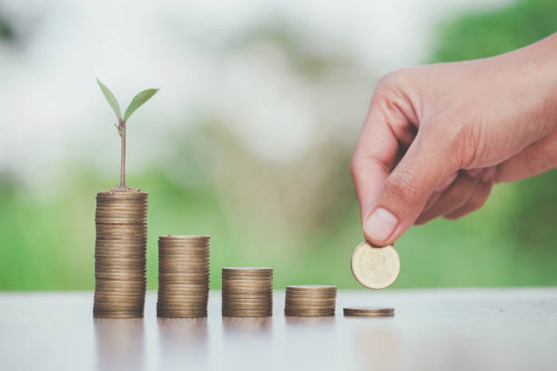 istock Green tree growing on money coins, ,saving, growth, sustainable development, economic concept 1171630503