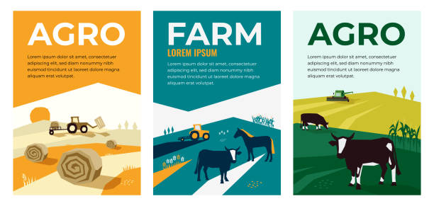 illustrazioni stock, clip art, cartoni animati e icone di tendenza di illustrazioni di agricoltura, agricoltura, bestiame - agriculture field tractor landscape