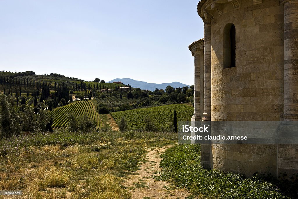 San Antimo con vineyard. Imagen de color - Foto de stock de Abadía libre de derechos