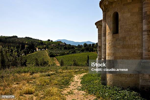 Santantimo Con Vineyard Immagine A Colori - Fotografie stock e altre immagini di Abbazia - Abbazia, Abbazia di Sant'Antimo, Albero