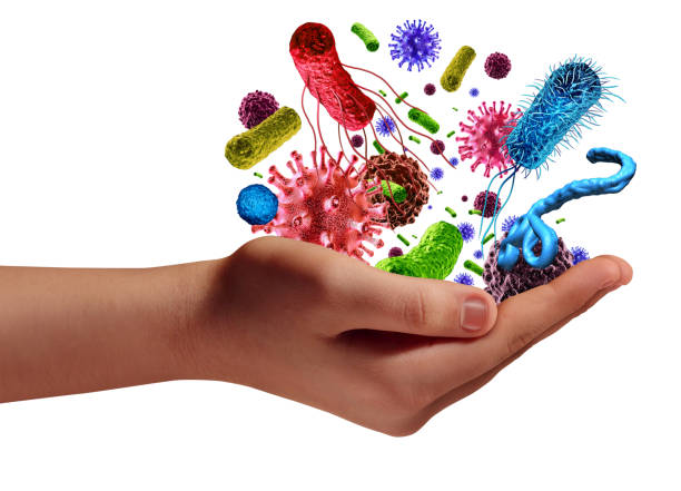 Health And Disease Health and disease risk medical health care concept with a human hand holding microscopic cancer virus and bacteria cells as a metaphor for pathogen illness with 3D illustration elements. bacterium stock pictures, royalty-free photos & images