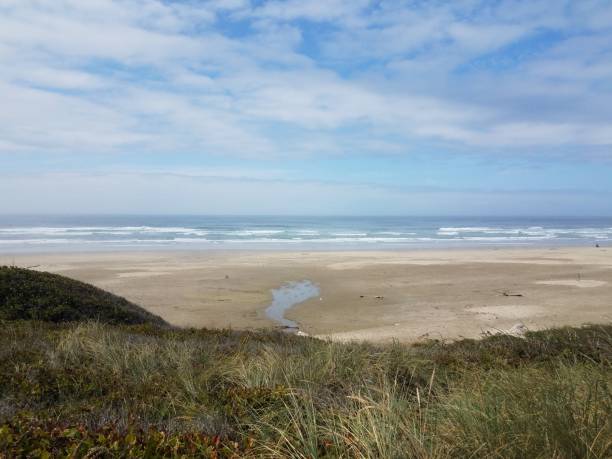 istock ocean and beach with sand and waves and grasses 1171640499