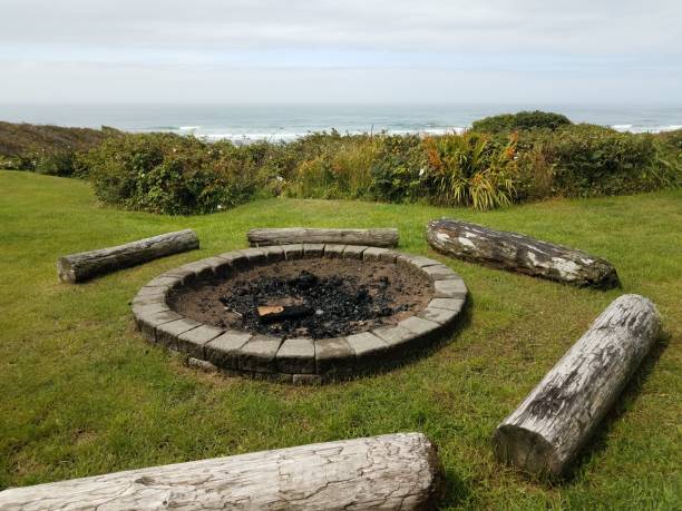 istock circular fire pit with charcoal and logs at beach 1171640758