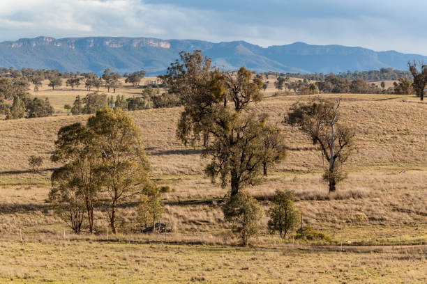istock Capertee Valley, NSW, Australia 1171642391
