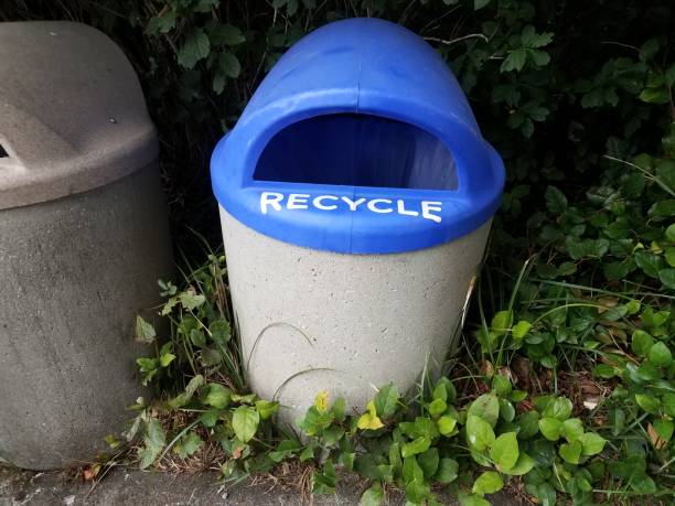 istock blue recycle or recycling can with green plants 1171642536