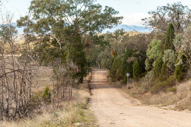 istock Dirt road, Capertee Valley, NSW, Australia 1171642643