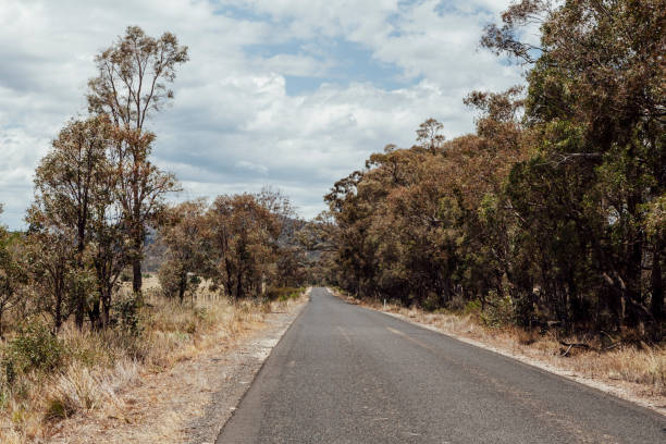 istock Capertee Valley, NSW, Australia 1171642709
