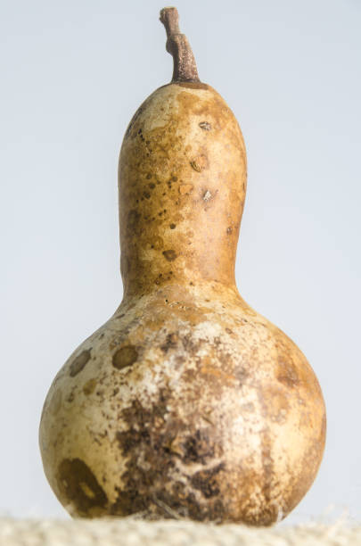 istock Traditional Bule or mexican gourd for ornament 1171643289