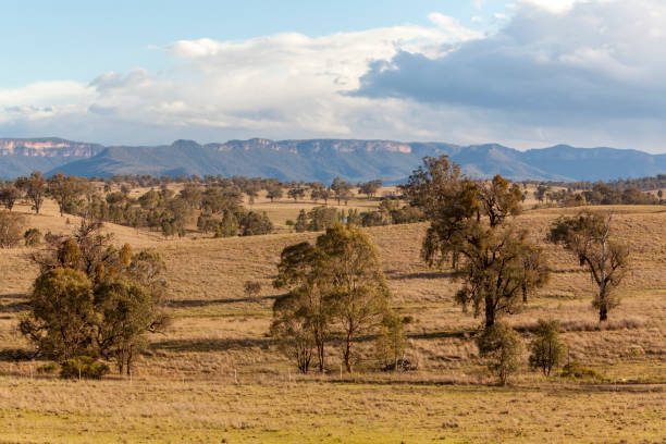 istock Capertee Valley, NSW, Australia 1171643817