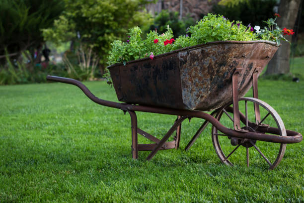 istock Old Wheel Barrel in a Lawn 1171643926