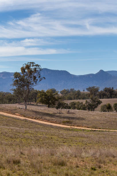 istock Capertee Valley, NSW, Australia 1171644516