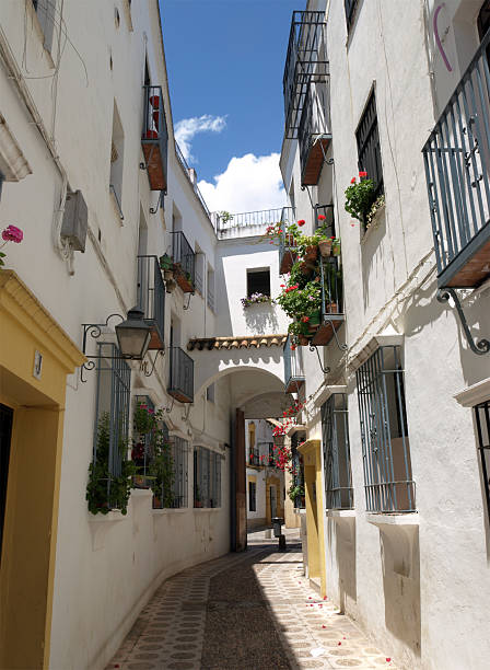 istock Narrow lane in Cordoba, Spain 117164554