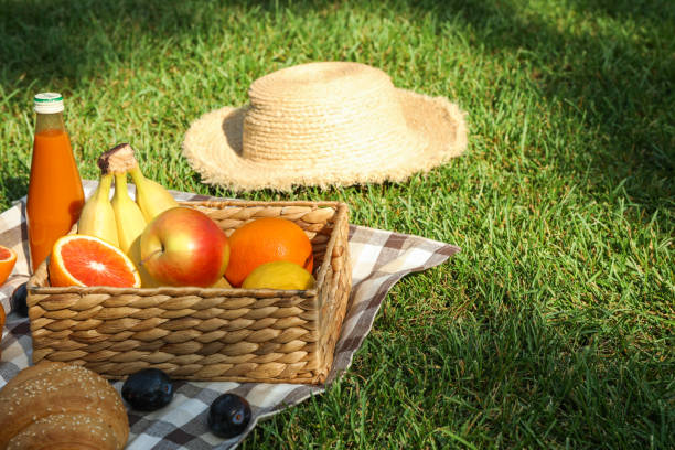 istock Picnic composition with fruits and straw hat against green grass, space for text 1171646615